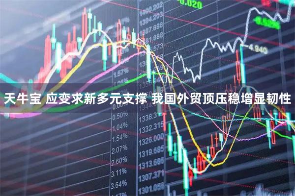 天牛宝 应变求新多元支撑 我国外贸顶压稳增显韧性