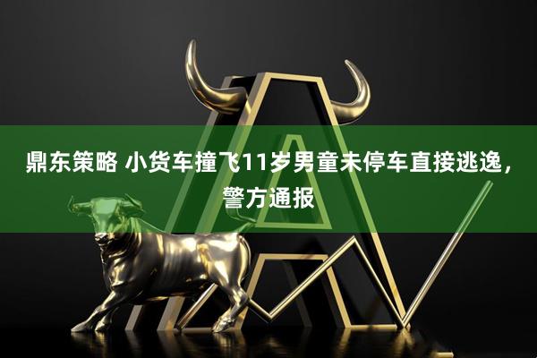 鼎东策略 小货车撞飞11岁男童未停车直接逃逸，警方通报
