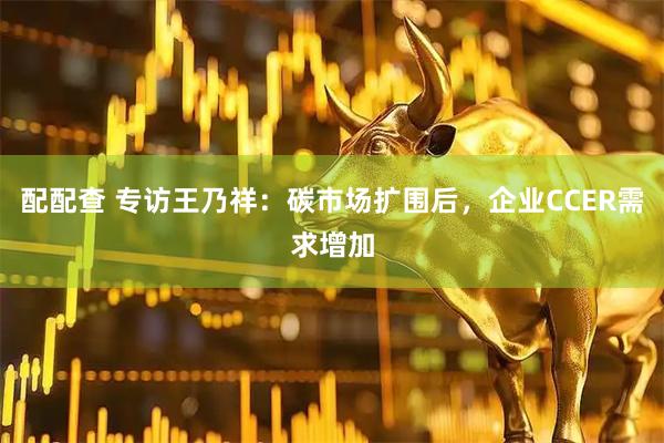 配配查 专访王乃祥：碳市场扩围后，企业CCER需求增加